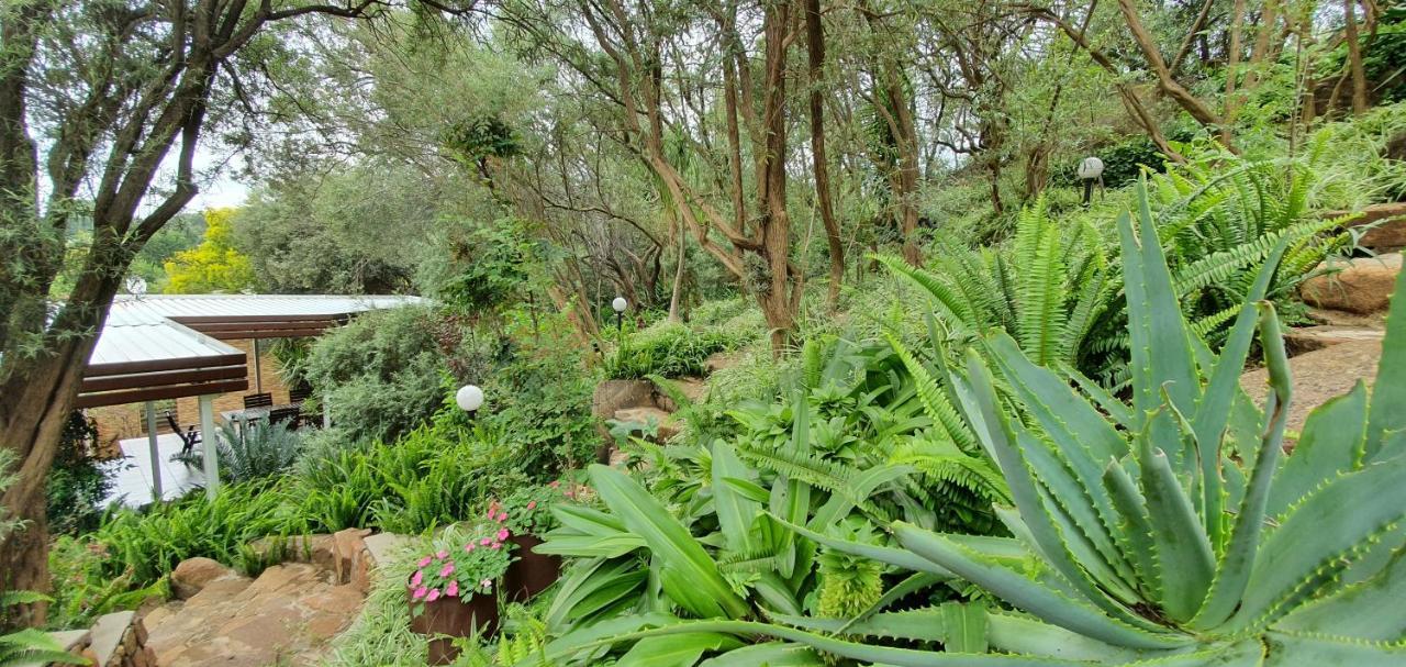 Bed and Breakfast Mountain Gem Bloemfontein Zewnętrze zdjęcie