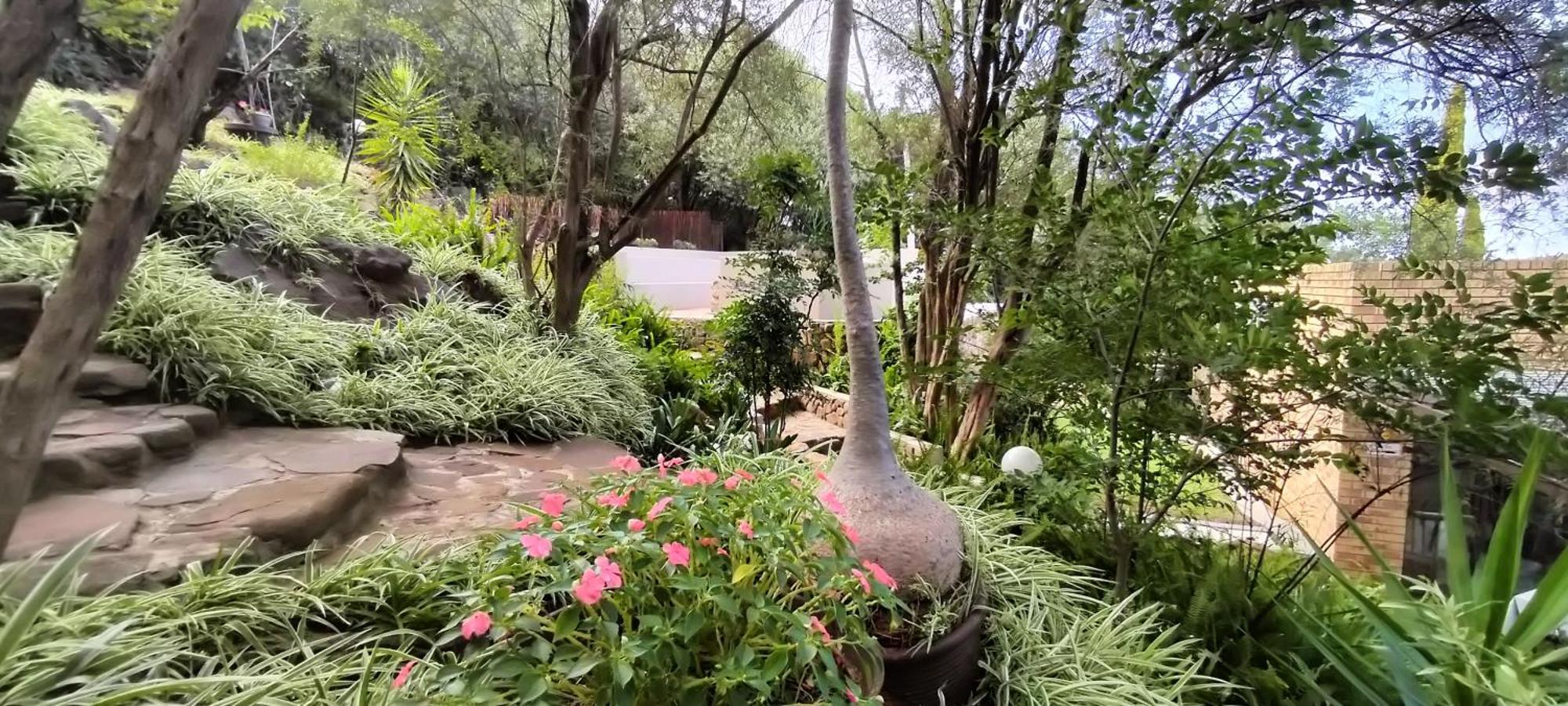 Bed and Breakfast Mountain Gem Bloemfontein Zewnętrze zdjęcie