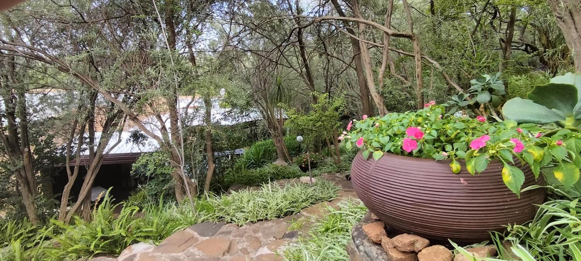 Bed and Breakfast Mountain Gem Bloemfontein Zewnętrze zdjęcie